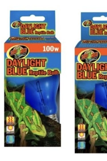 Zoomed Daylight Blue Bulb