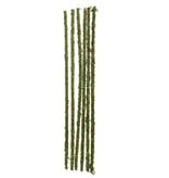 Galapagos Mossy Sticks 18" Long (6 Pack)