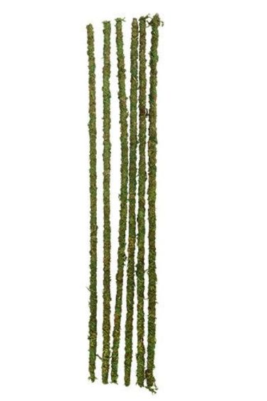 Galapagos Mossy Sticks 18" Long (6 Pack)