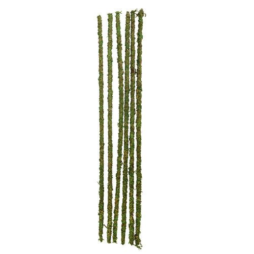 Galapagos Mossy Sticks 18" Long (6 Pack)