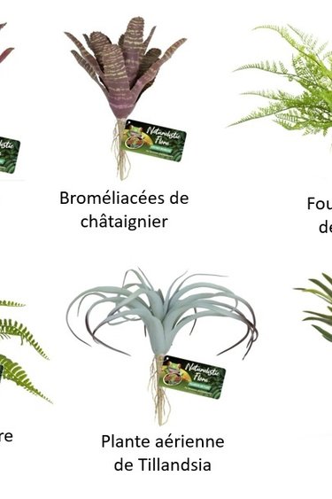 Zoomed ZOO MED Fleurs d'apparence naturelle