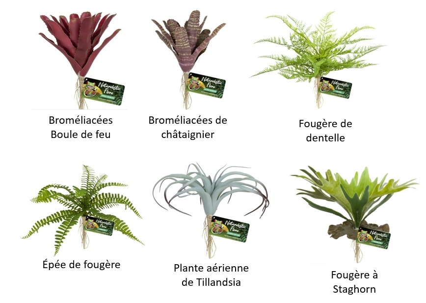 Zoomed ZOO MED Fleurs d'apparence naturelle