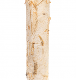 NewCal Pets NEWCAL Branche naturelle de bouleau