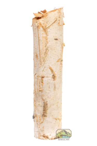 NewCal Pets Birch tree branche