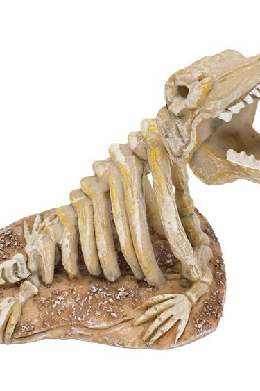 Jurassic skeleton