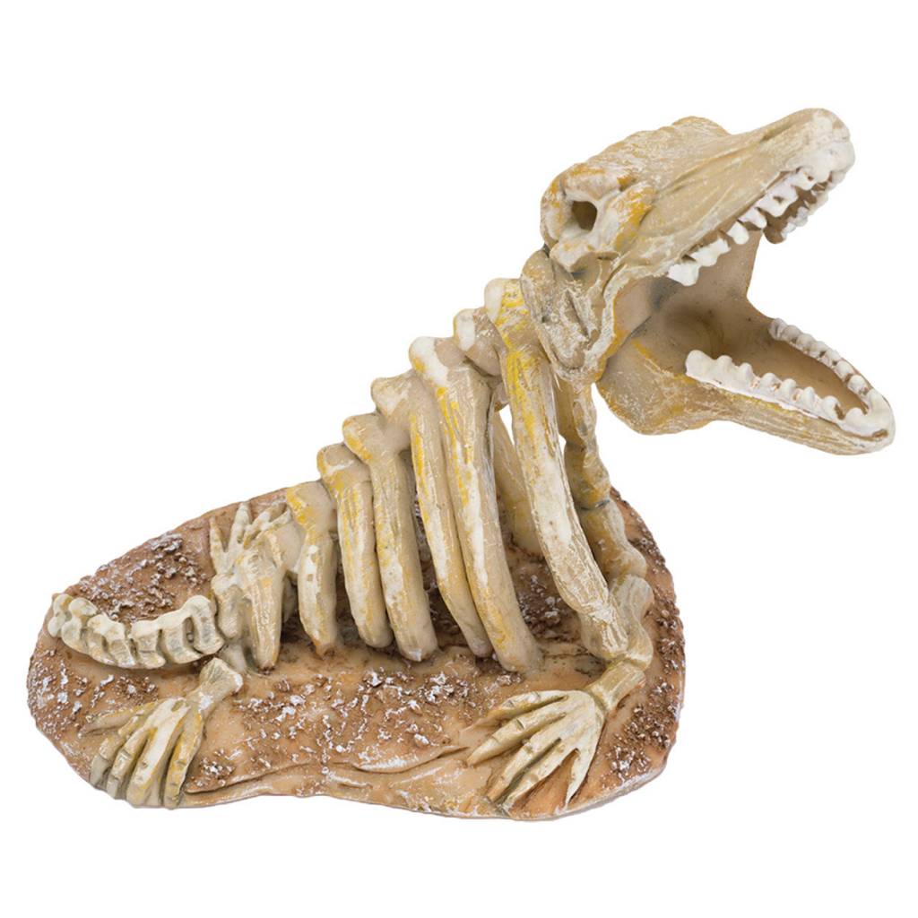 Jurassic skeleton