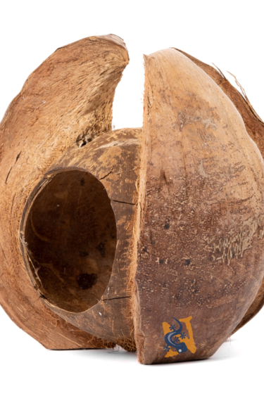 Aqua Globe AQUAGLOBE AQ-CNL Noix de coco lotus