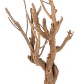 NewCal Pets Curry Tree Branch 12-19"