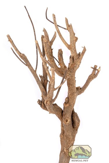 NewCal Pets Curry Tree Branch 12-19"