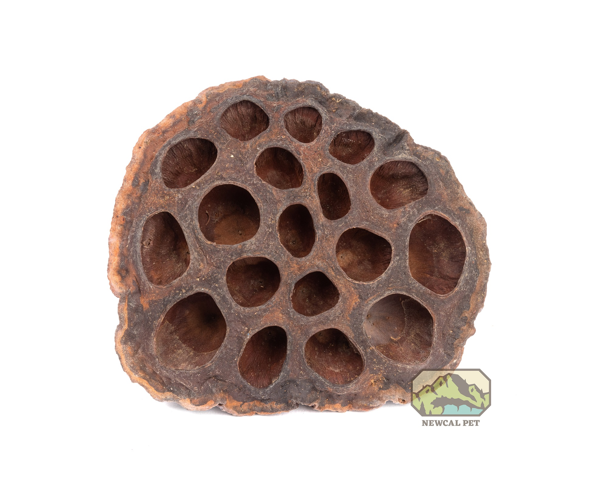 NewCal Pets Lotus Pods - 3 Pack