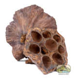 NewCal Pets Lotus Pods - 3 Pack