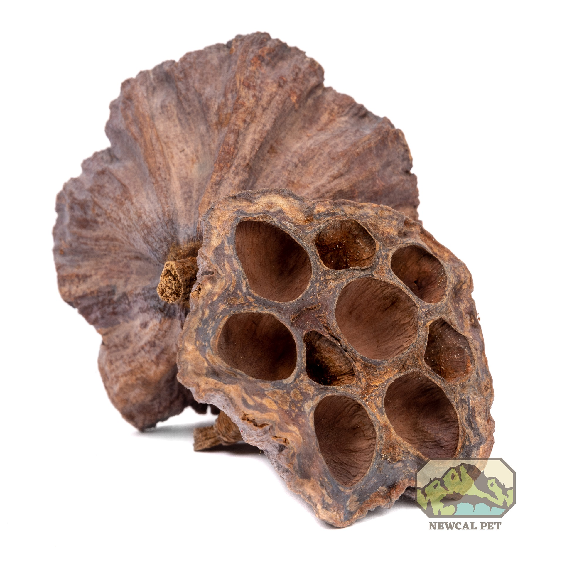 NewCal Pets Lotus Pods - 3 Pack