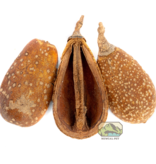 NewCal Pets Pear Pods - 1.5oz