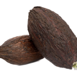 NewCal Pets Cocoa Pod 5-7"