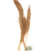 NewCal Pets Palm Torch 12"