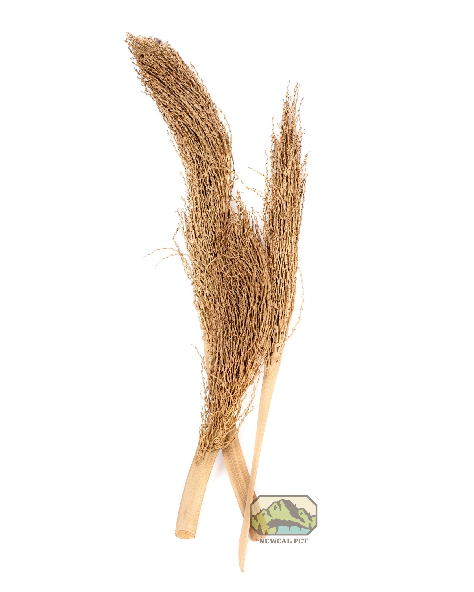 NewCal Pets NEWCAL NC-PT12 Branche de rameau séché 12 po