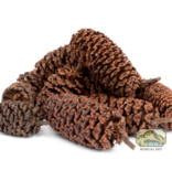 NewCal Pets Alder Cones - 1oz