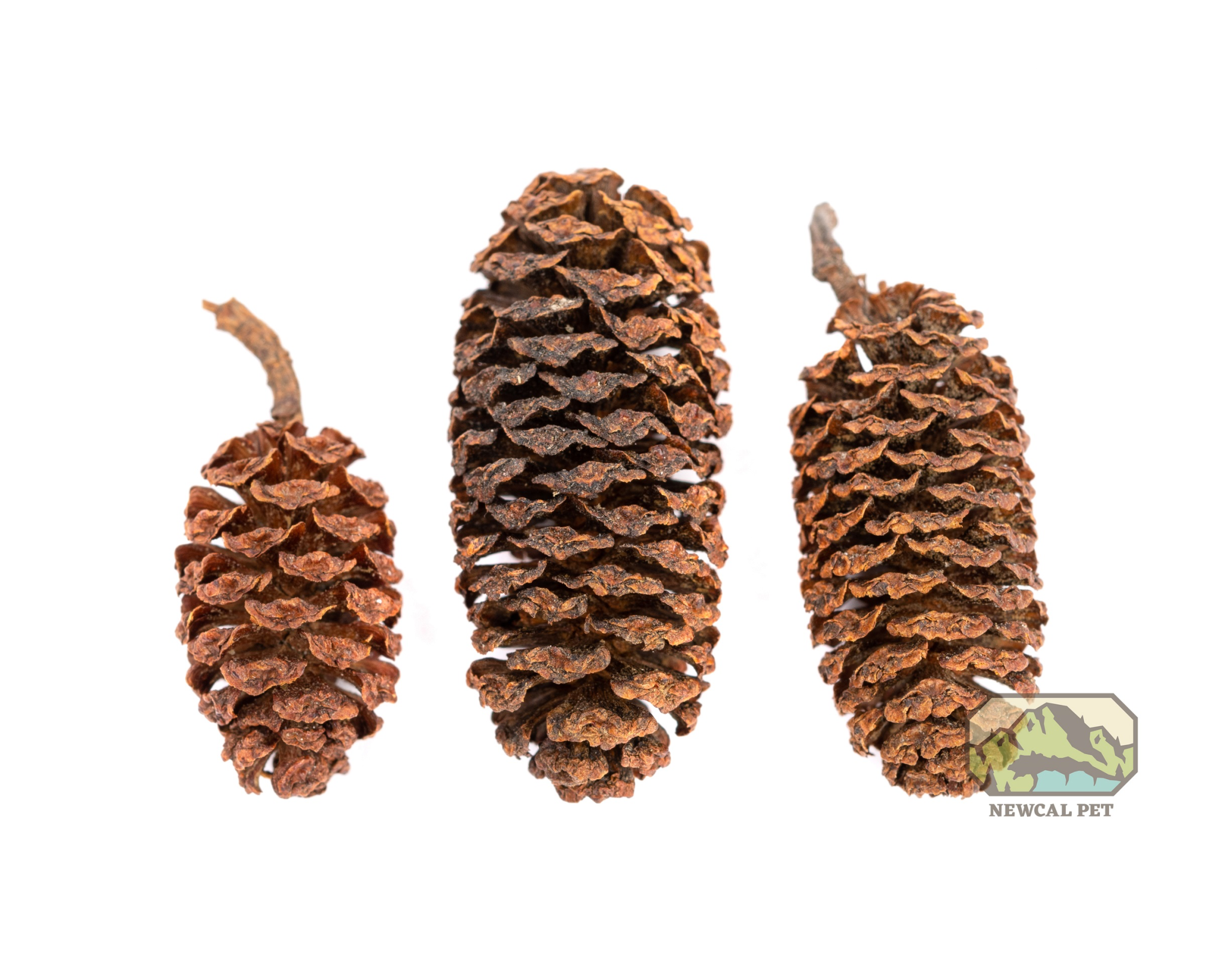 NewCal Pets Alder Cones - 1oz