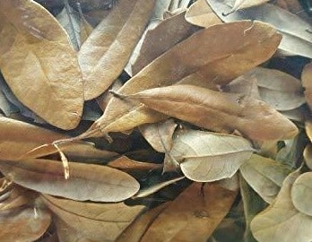 NewCal Pets Live Oak Leaf Litter