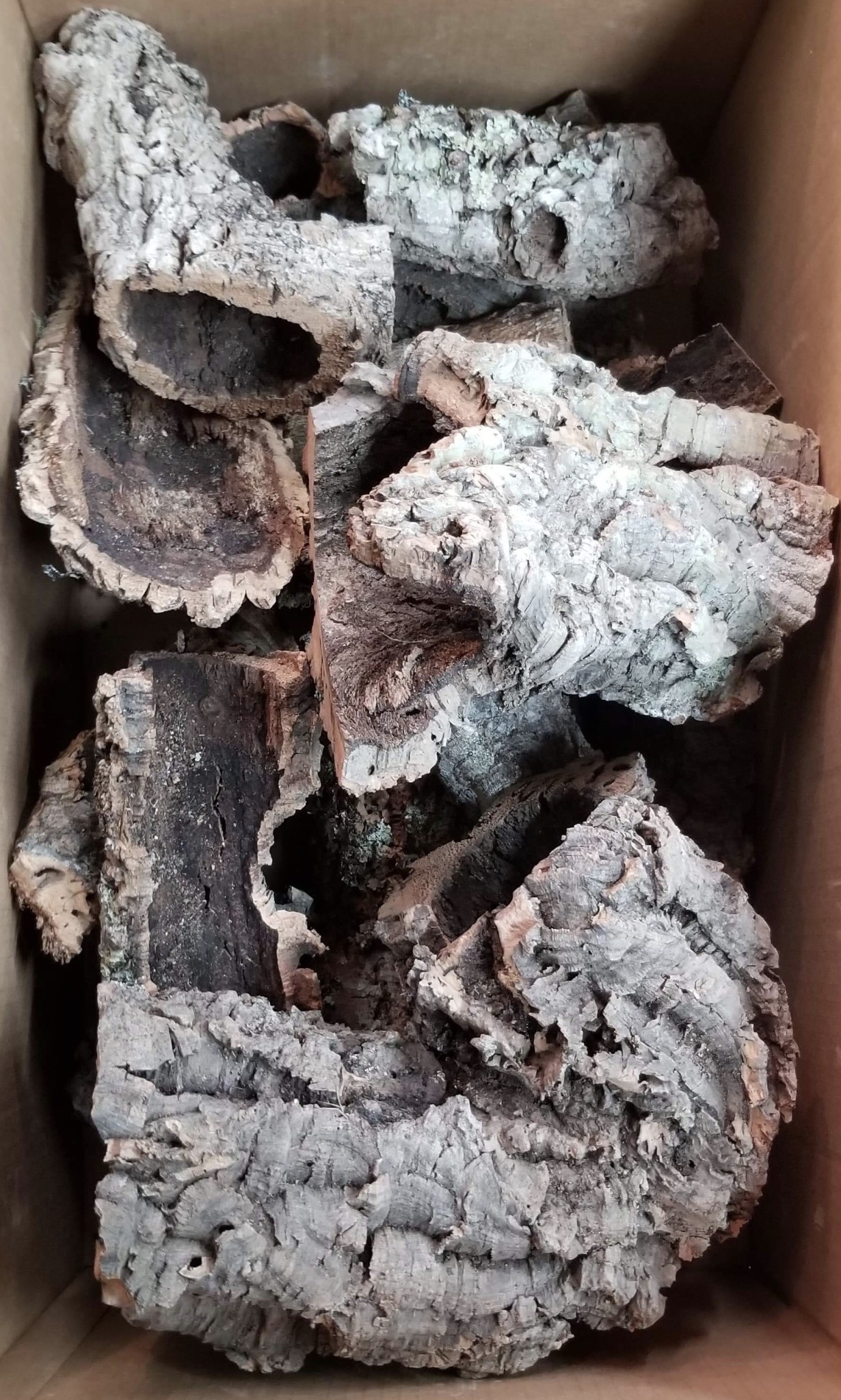 NewCal Pets NEWCAL NC-CRLB15 Écorce nature de 15 lbs Rond & plats moyens grands