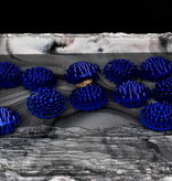 Magazoo NC-BB04 Boule anti noyade  pour criquets -