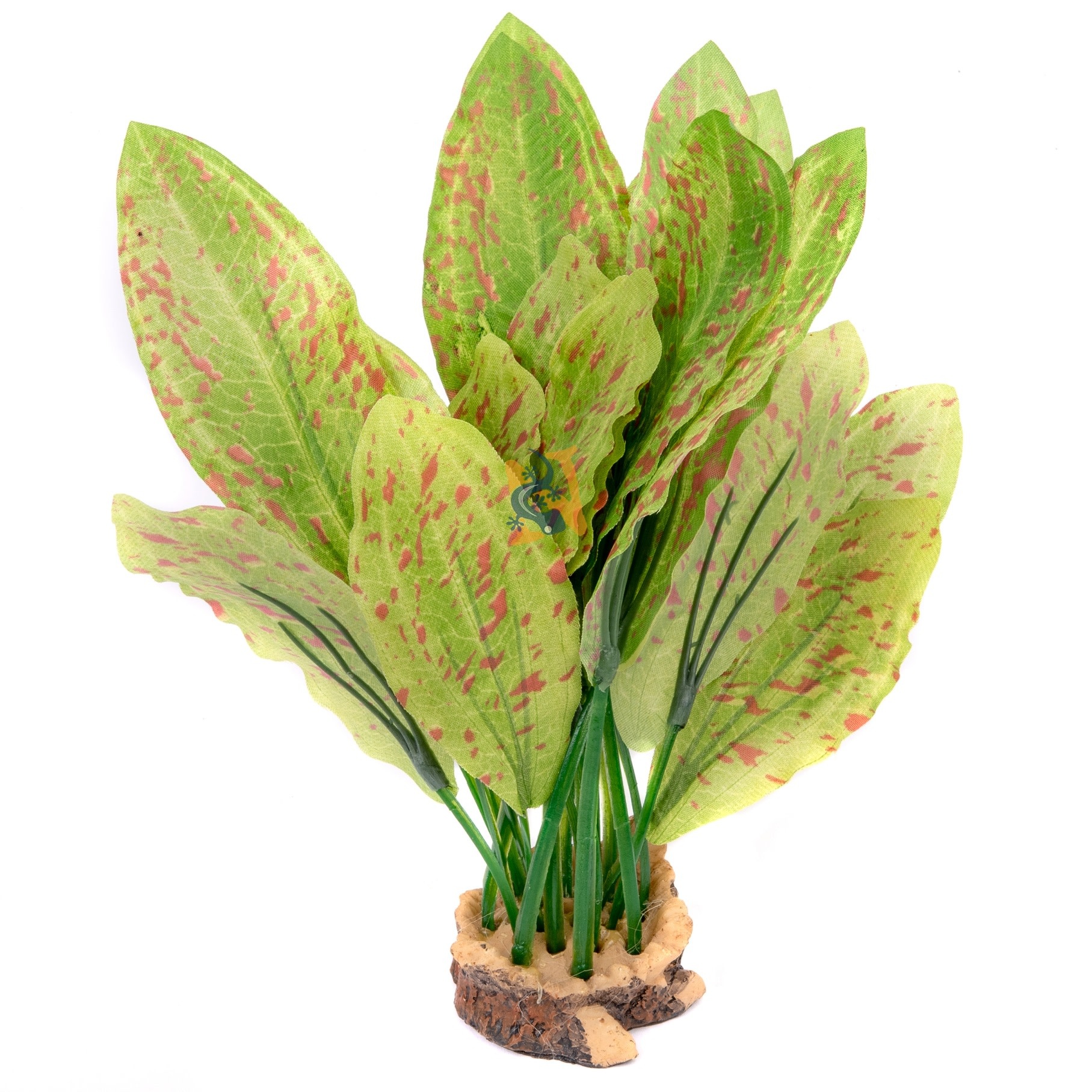 Aqua Globe AQUAGLOBE AQ-OZL Plante Ozelot