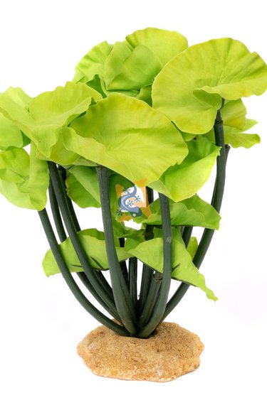 Aqua Globe AQUAGLOBE AQ-LM Lotus 8 po de haut