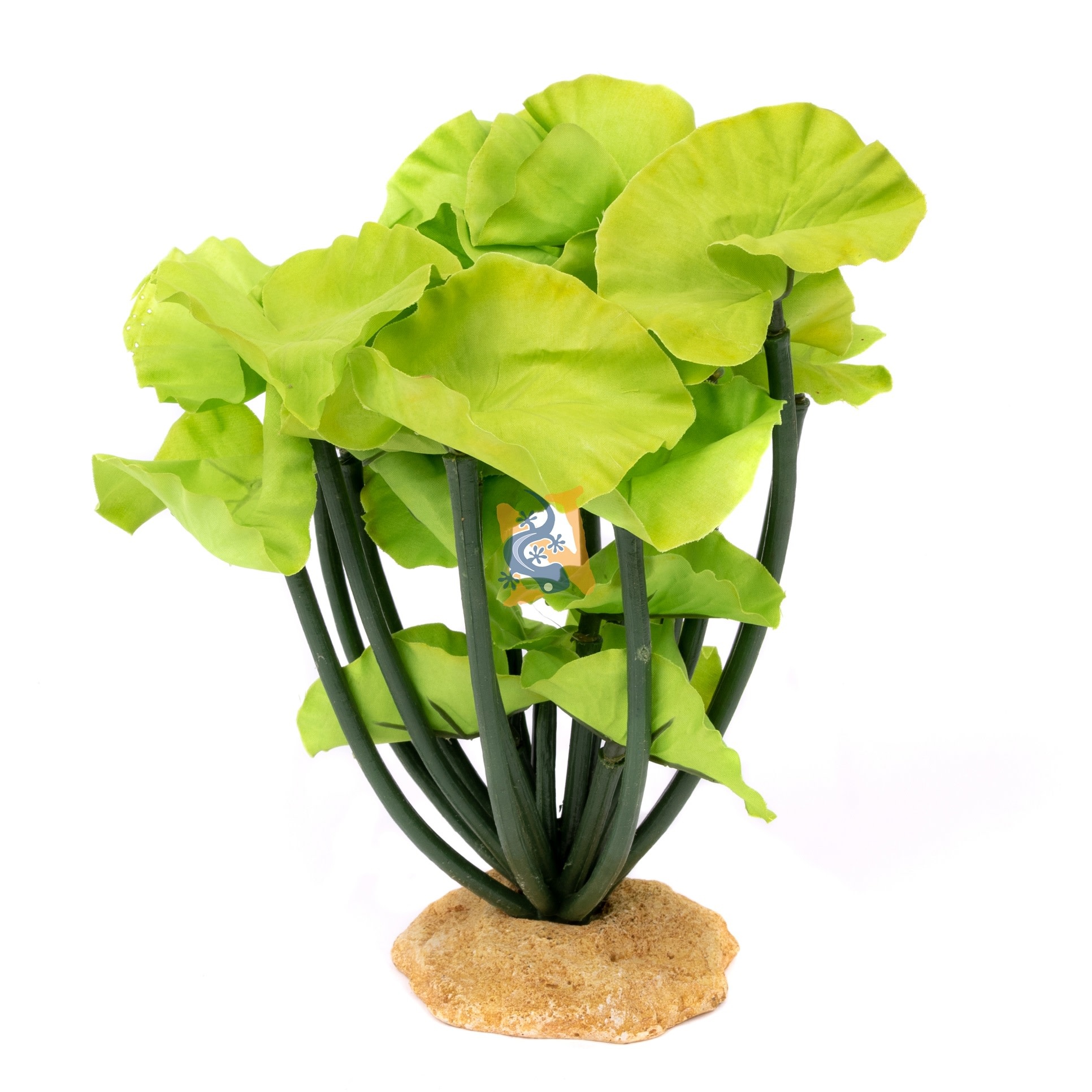 Aqua Globe Lotus 8 in high