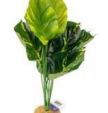 Aqua Globe Red Japonica