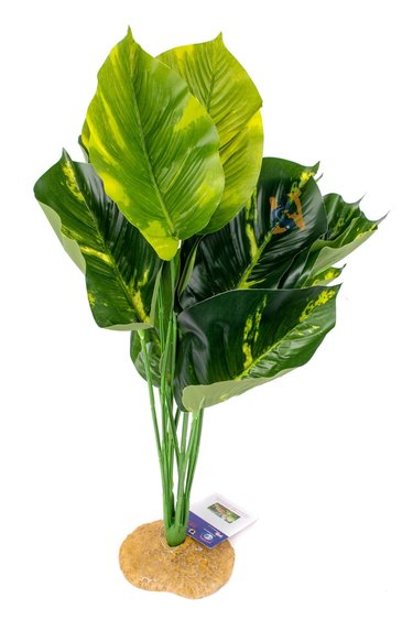 Aqua Globe AQUAGLOBE AQ-RJP Rouge japonais