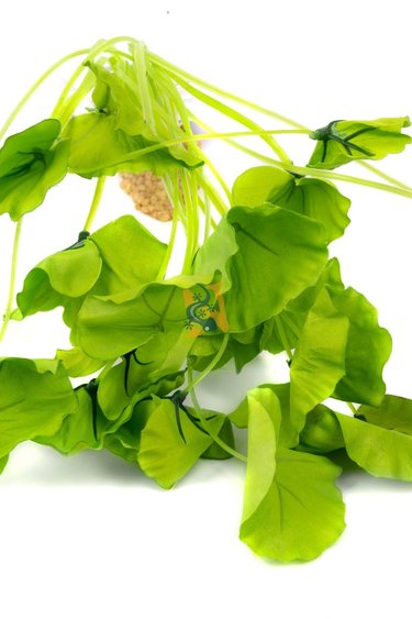 Aqua Globe AQUAGLOBE AQ-LL Plante lotus sous l'eau