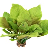 Aqua Globe AQUAGLOBE AQ-QU Plante reine