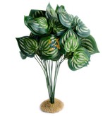 Aqua Globe Melon Silk Plant