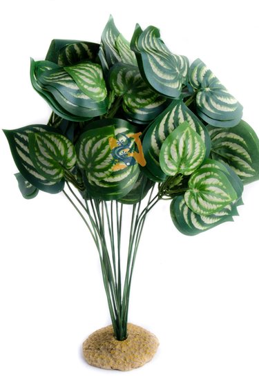 Aqua Globe Melon Silk Plant