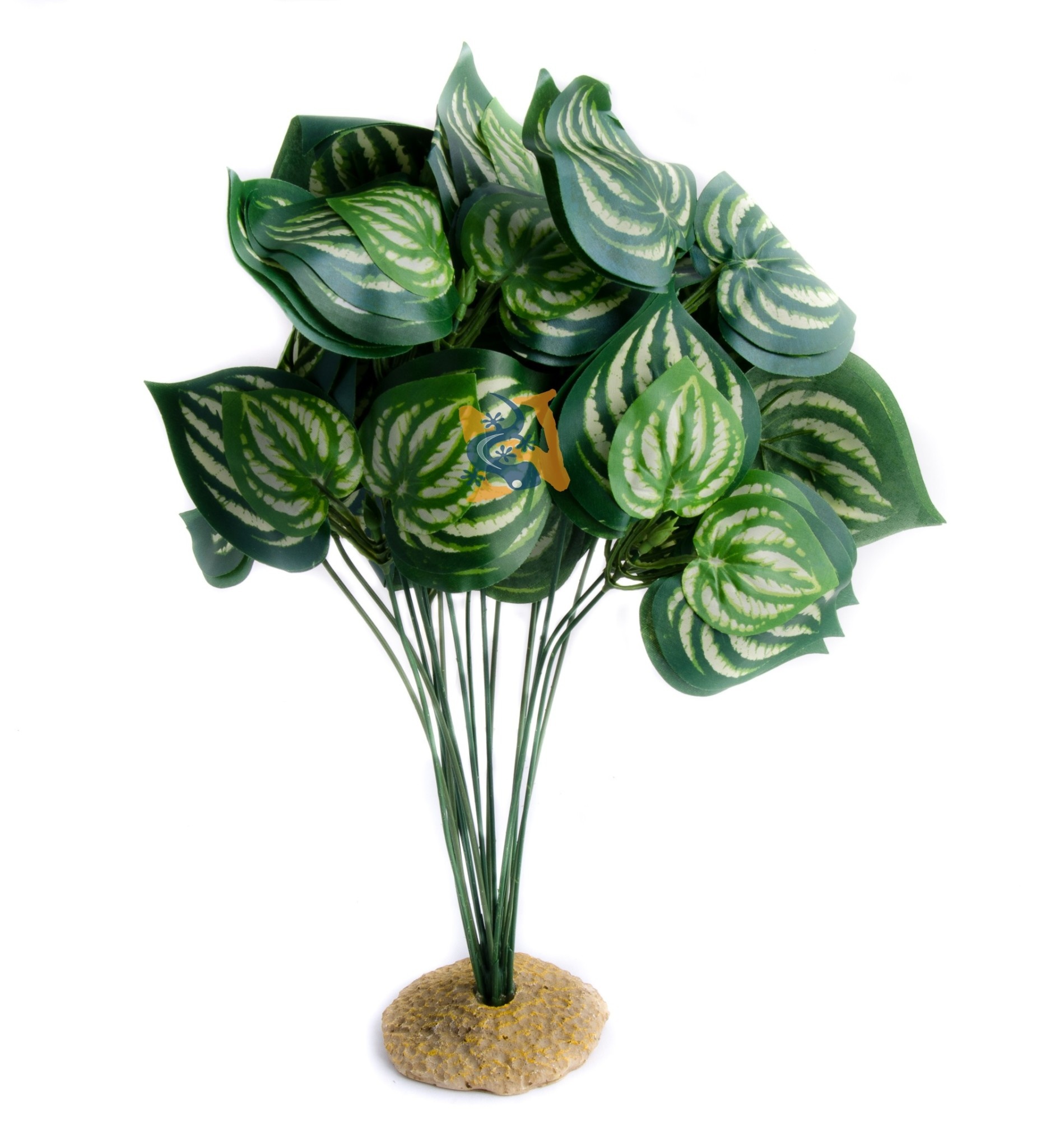 Aqua Globe Melon Silk Plant