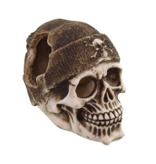 Treasures underwater Buccaneer Skull