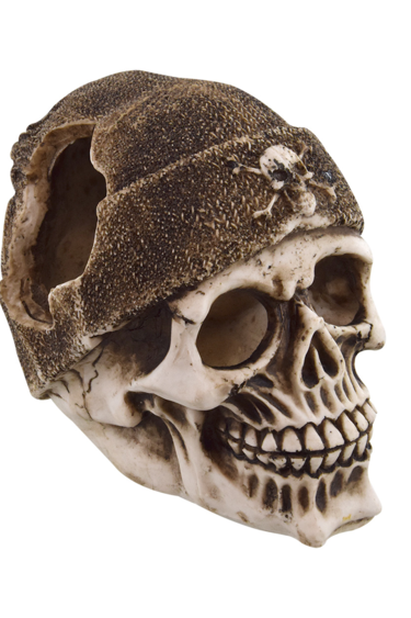 Treasures underwater Buccaneer Skull