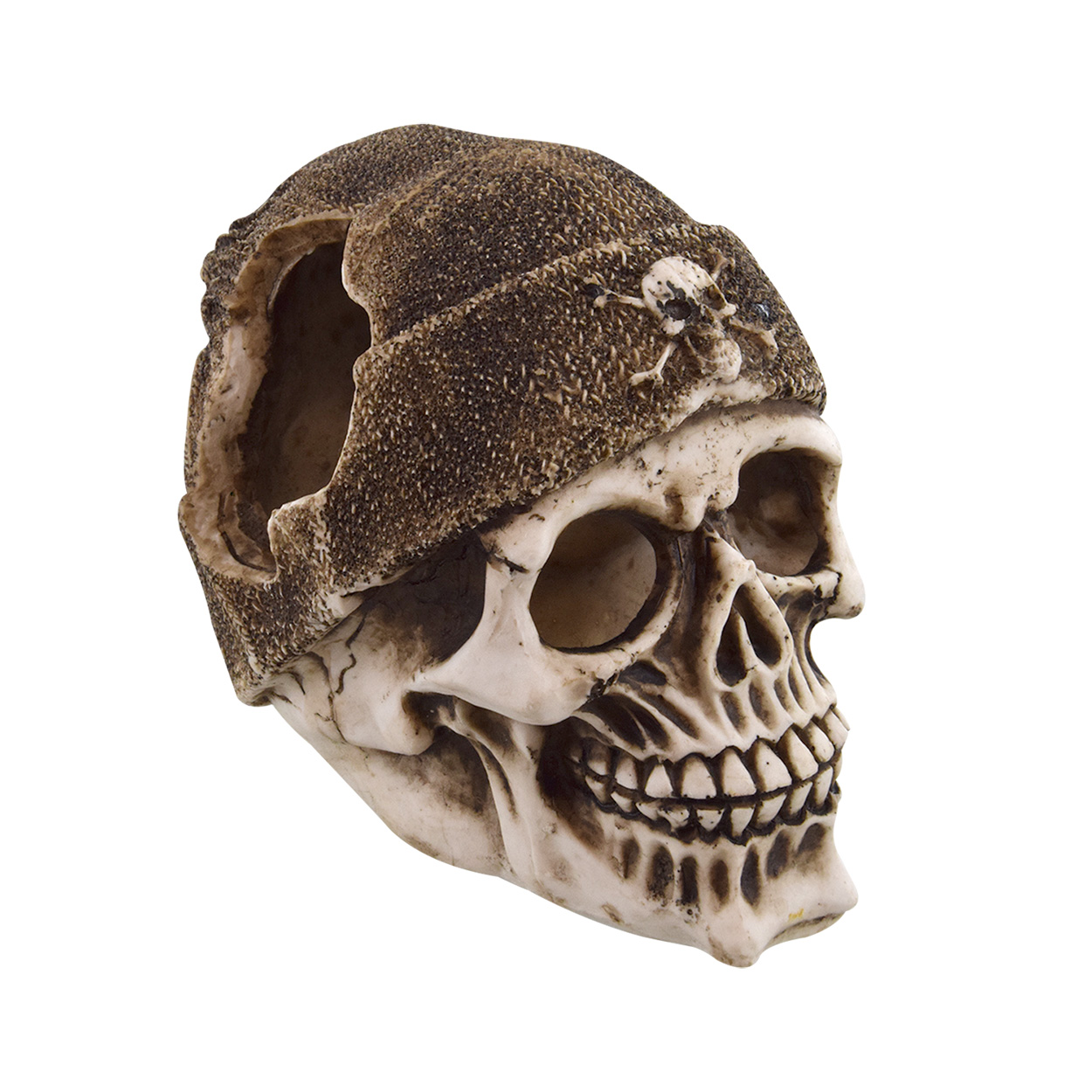 Treasures underwater Crâne de boucanier - Buccaneer Skull