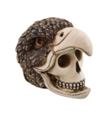 Treasures underwater Crâne d'oiseau-humain - Birdman Skull