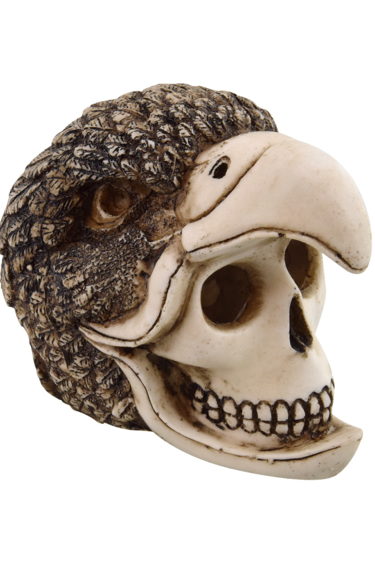 Treasures underwater UNDERWATER TREASURES 77496 Crâne d'oiseau-humain