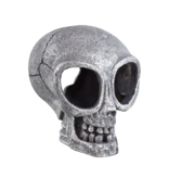 Treasures underwater Crâne extraterrestre - Alien Skull