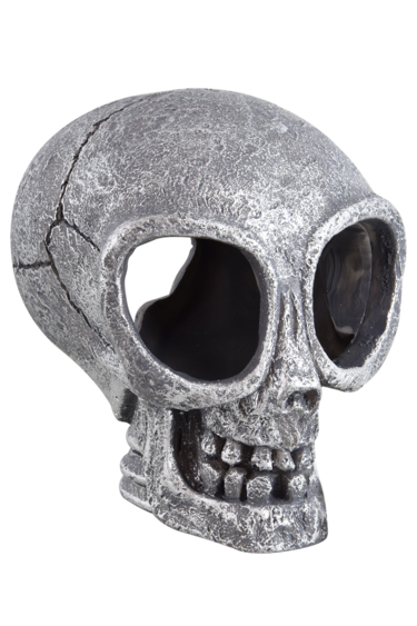 Treasures underwater UNDERWATER TREASURES 77476 Crâne extraterrestre