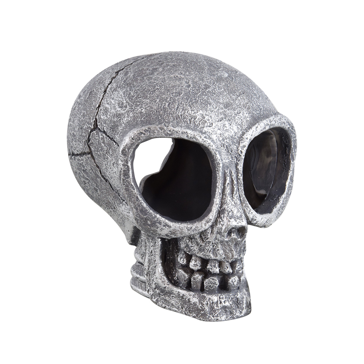 Treasures underwater Crâne extraterrestre - Alien Skull
