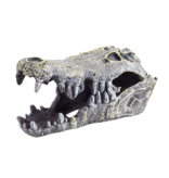 Treasures underwater Crocodile Skull
