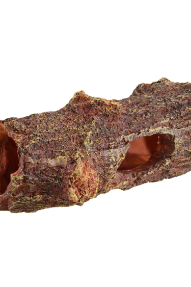 Treasures underwater UNDERWATER TREASURES 77488 Bûche déchue