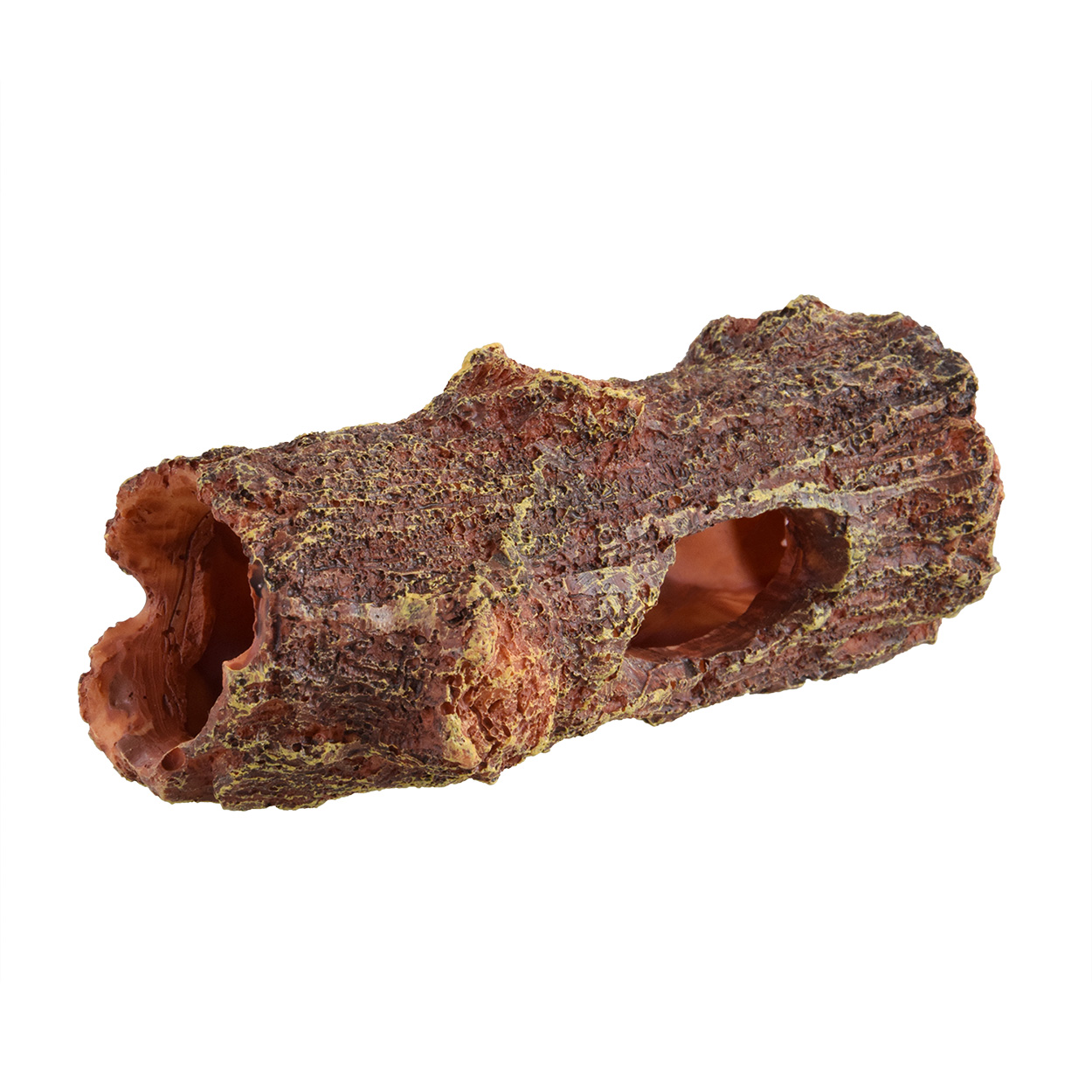 Treasures underwater UNDERWATER TREASURES 77488 Bûche déchue