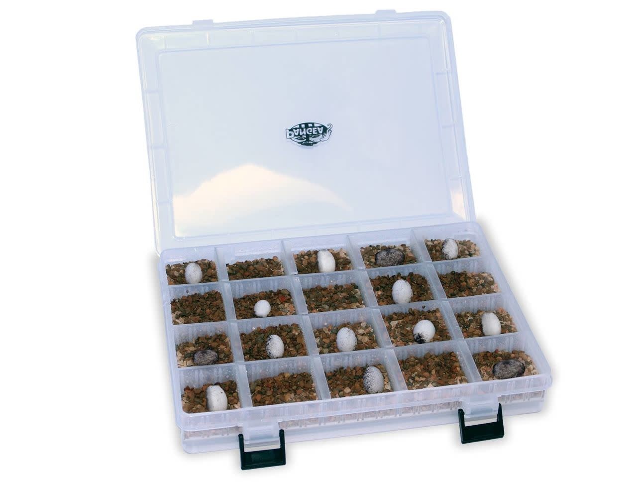 Pangea Organisateur d'oeufs de reptile - Reptile Egg Organizer