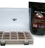 Pangea Reptile Egg Organizer