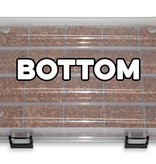 Pangea PANGEA Organisateur d'oeufs de reptile - Reptile Egg Organizer