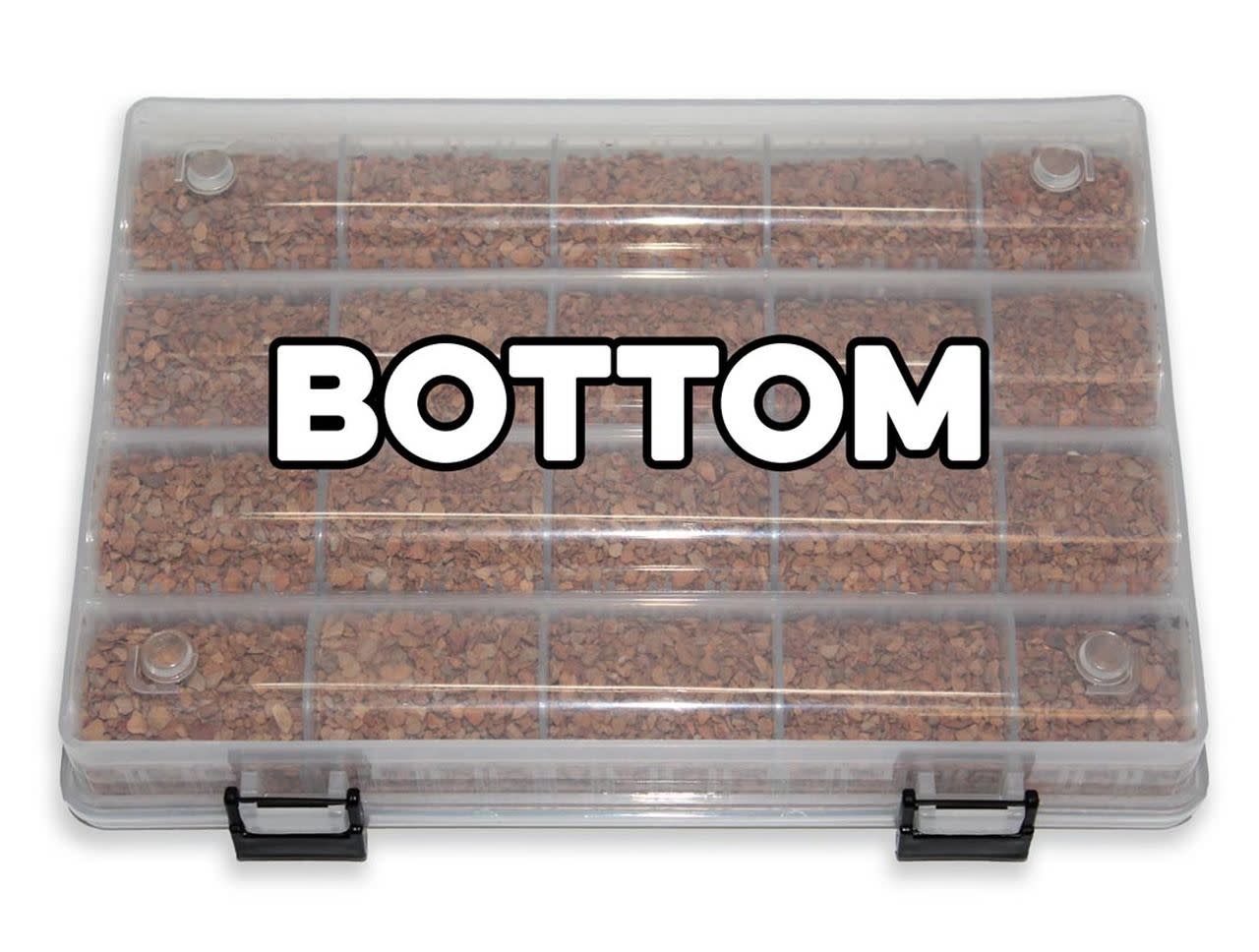 Pangea PANGEA Organisateur d'oeufs de reptile - Reptile Egg Organizer